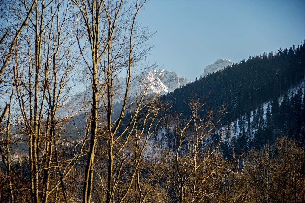 Dolina Resort Zakopane กอสเชียลิสกอ ห้อง รูปภาพ